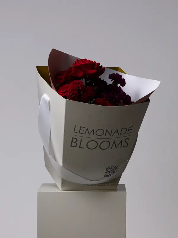 Bliss-Lemonade-146-Enhanced-SR.webp