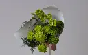GREEN BERGAMOT