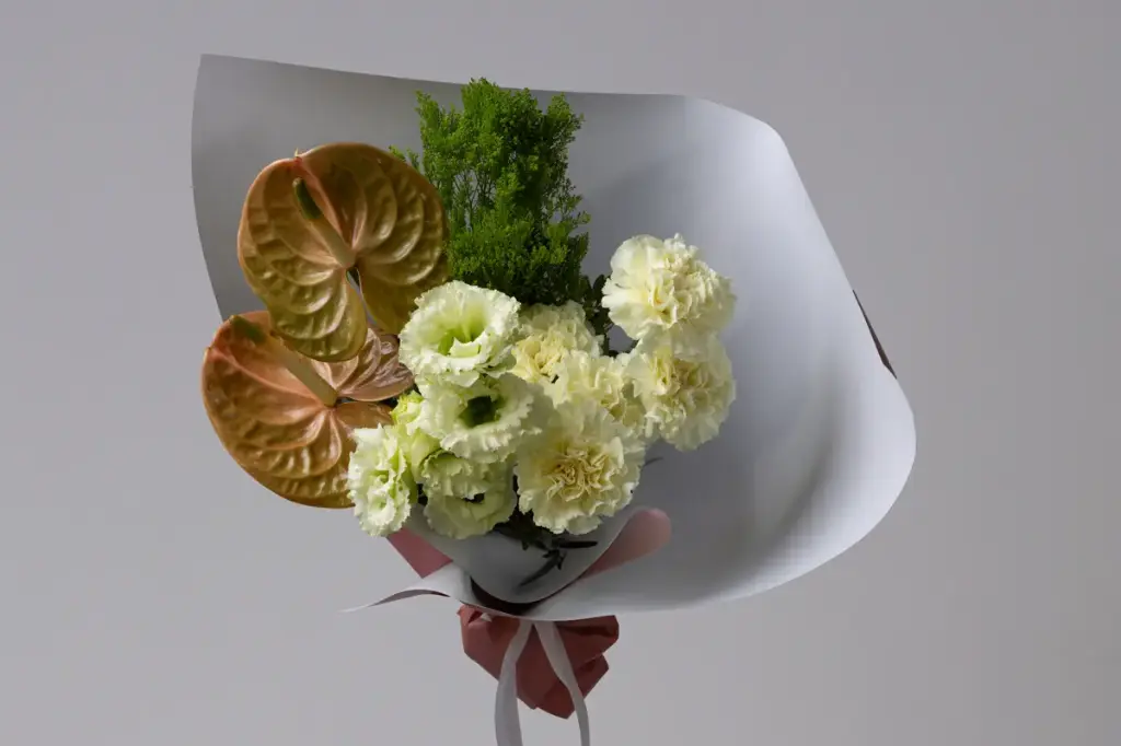 أفوكادو وكيل