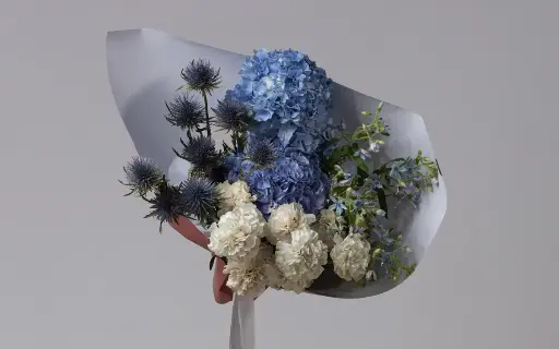 BLUEBERRY KISS