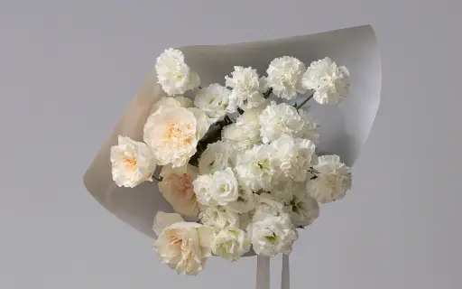 VANILLA AND COCONUT