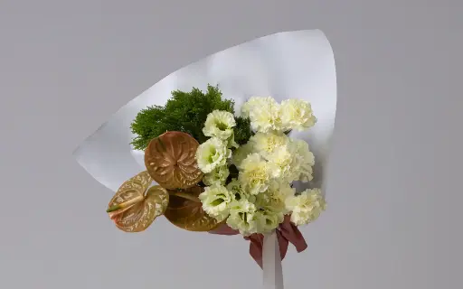 أفوكادو وكيل